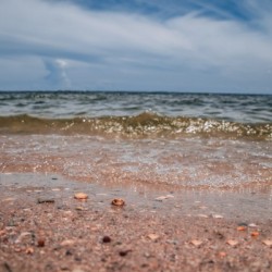 Sandy Day